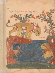 Der Hase, der Löwe und der Brunnen, Folio aus einem Kalila wa Dimna, 18. Jahrhundert