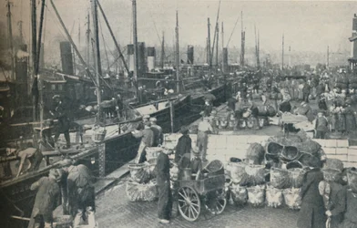 Die Heringssaison in vollem Gange