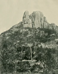 Der Buckel, Büffelberge, 1901