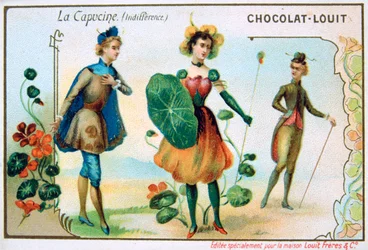 Die Sprache der Blumen, Kapuzinerkresse, Gleichgültigkeit, um 1900