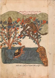 Der Affe flieht in die Sicherheit des Feigenbaums, Folio aus einem Kalila wa Dimna, 18. Jahrhundert