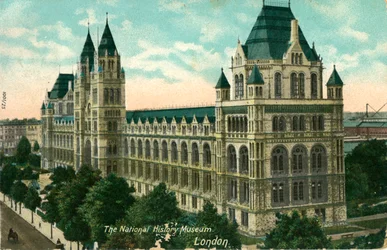 Das Naturhistorische Museum, London, ca. 1910