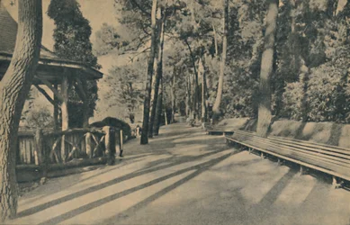 Der Kiefernweg, 1929