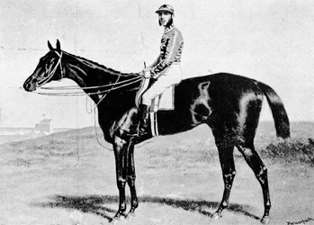 Der Prätendent, ca. 1870er Jahre, 1911