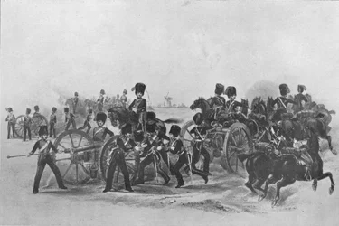 Die Königliche Pferdeartillerie