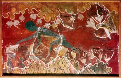 Der Safran-Sammler Fresko aus dem minoischen Königspalast, Knossos, Kreta, ca. 15. Jahrhundert v. Chr.