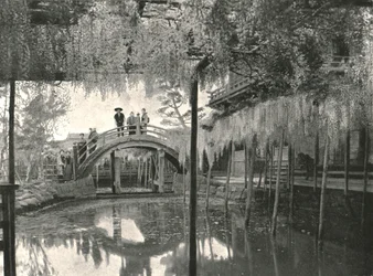 Der Shinji-No-Ike-Teich und Glyzinien, Kameido, Tokio, Japan