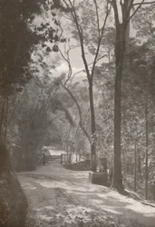 Der Geist von Tijuca, 1914