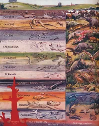 Die Abfolge des Lebens in den Felsen, 1935