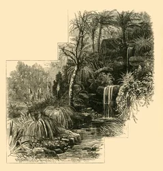 Die Tropischen Gärten, Battersea Park, ca. 1878