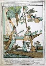 Die Union zwischen Frankreich und Österreich, 19. Jahrhundert