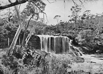 Der Weeping Rock bei Wentworth Falls, Blue Mountains, ca. 1900