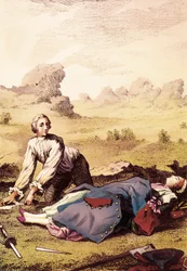 Die Wüste von Louisiana. Illustration