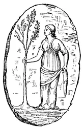 Die Göttin Minerva hält einen jungen Olivenbaum