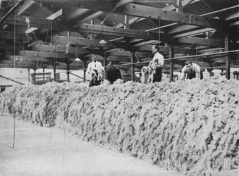 Die Herstellung von Khaki - Wollmischung, 1915