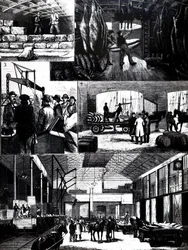 Der Prozess des Transports von gekühltem Fleisch von den USA nach Liverpool