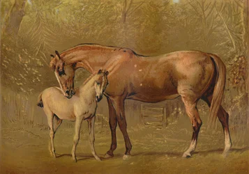 Vollblutstute und Fohlen, ca. 1879
