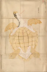 Schildkröte, 18. Jahrhundert