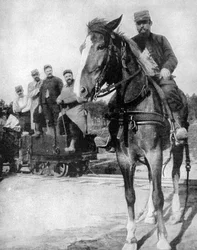 Transport im Wald von Argonne, Frankreich, 1915