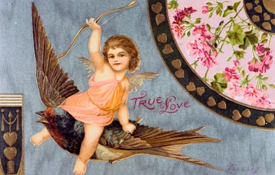 Wahre Liebe, amerikanische Valentinskarte, 1908