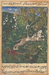 Tuti-Nama (Geschichten eines Papageis), Geschichte XXIX