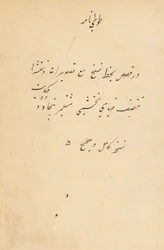 Tuti-Nama Geschichten eines Papageis, ca. 1560