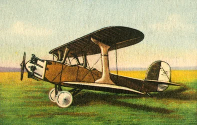 Udet U 12b Flamingo, 1920er Jahre