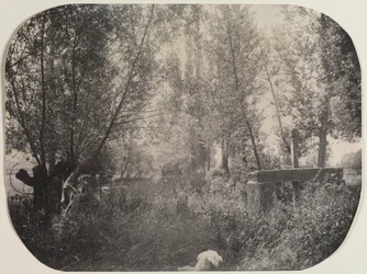 Unbetitelte Landschaft mit Hund, ca. 1910