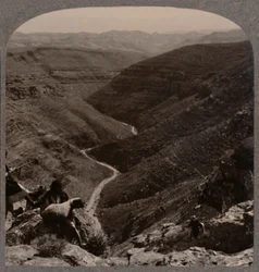 Tal des Arno, Hirte und Schafe im Vordergrund