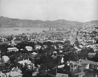 Wellington, 19. Jahrhundert