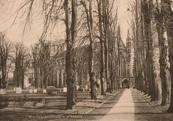 Winchester Cathedral und Avenue, Hampshire, frühes 20. Jahrhundert