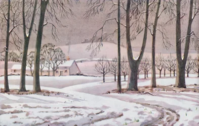 Winter - Die physikalischen, chemischen und biologischen Veränderungen durch die Sonne im Laufe des Jahres