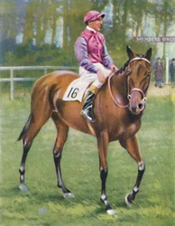 Zoltan, Jockey: M. Beary, 1939