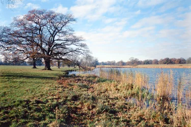 Blick auf den See, Corsham Court, Wiltshire