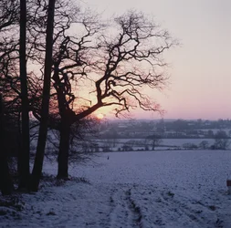 Winterszene im Schnee, Hockley, Essex