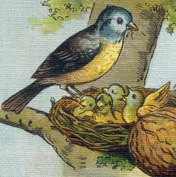 Ein Vogel füttert seine Jungen in einem Nest. Gravur in "Alphabet de ma petite fille". Bernardin-Bechet und Fils, Buchhändler-Verleger, Paris, um 1895.