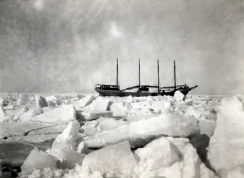 Ein Viermastschiff segelt zwischen den Eisbergen