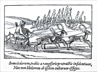 Ein Schlitten, der von Rentieren in Nord-Sibirien gezogen wird