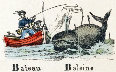 B - Boot Wal - Alphabet - Kinderunterhaltung - Bild Epinal, populäre Serie ca. 1890 (Illustration)