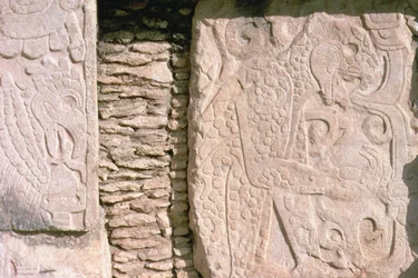 Basrelief, das Jaguare zeigt, die menschliche Herzen aus Opfern herausziehen (Stein)