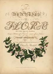 Kalligraphische Titelseite mit botanischer Vignette