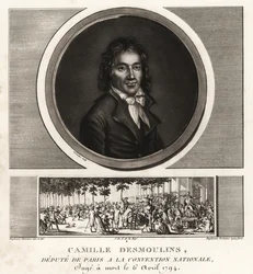 Camille Desmoulins, Abgeordneter von Paris bei der Nationalversammlung