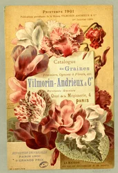 Saatgutkatalog