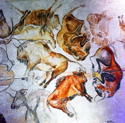 In der Höhle von Altamira entdeckte Höhlenmalereien