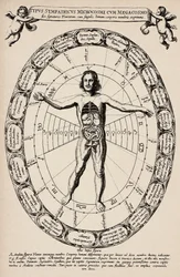 Korrespondenz zwischen Mikrokosmos und Makrokosmos. Platte aus „Mundus subterraneus“ von Athanase Kircher (1601-1680)