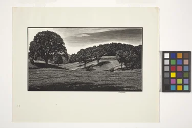 Landschaftsszene