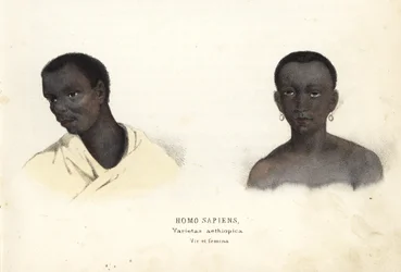 Äthiopischer Mann und Frau. Handkolorierte Stahlgravur aus Georg Friedrich Treitschkes Galerie der Naturgeschichte, Naturhistorischer Bildersaal des Tierreiches, Leipzig-1842