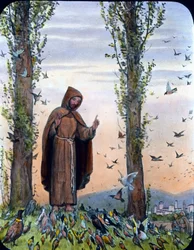Franziskus