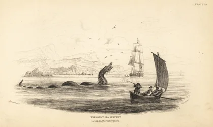 Große Seeschlange, die von der Besatzung der Lawrence von Ferry im Jahr 1746 erschossen wurde. Beschrieben in Bischof Erik Pontoppidans Naturgeschichte Norwegens