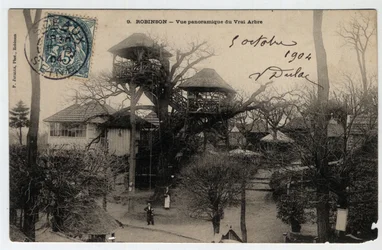 Île de France, Hauts de Seine (92), Le Plessis Robinson (Le Plessis-Robinson): Panoramablick auf den „True Arbre“, eine Guinguette, die auf der Spitze einer Kastanie installiert ist - Postkarte datiert 1904